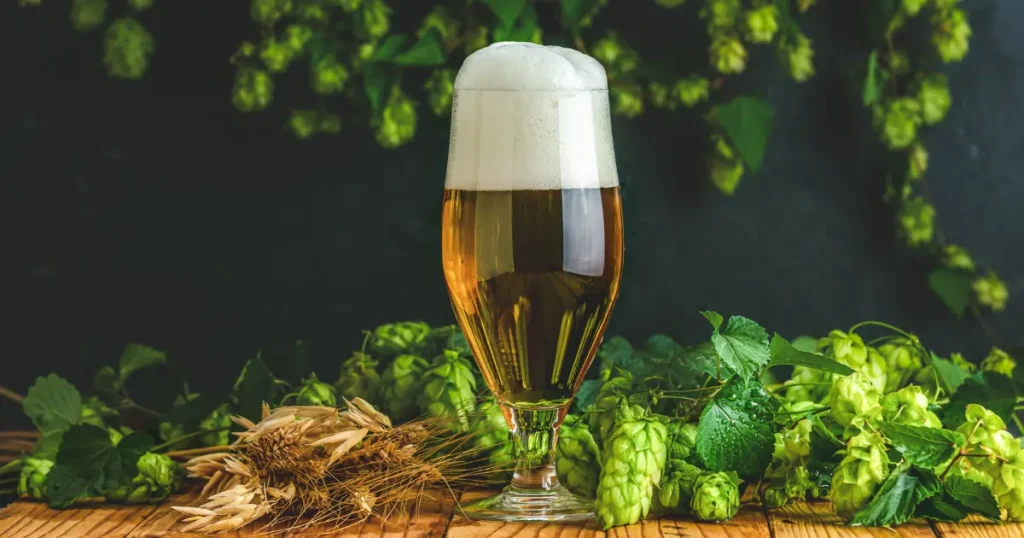 Birra apa birrificio artigianale styles