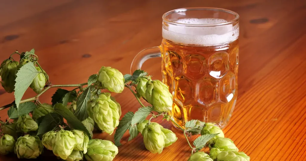Birra West Coast IPA birrificio artigianale styles