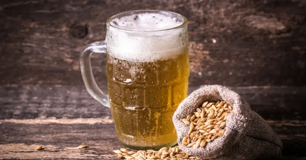 birra Saison birrificio artigianale styles
